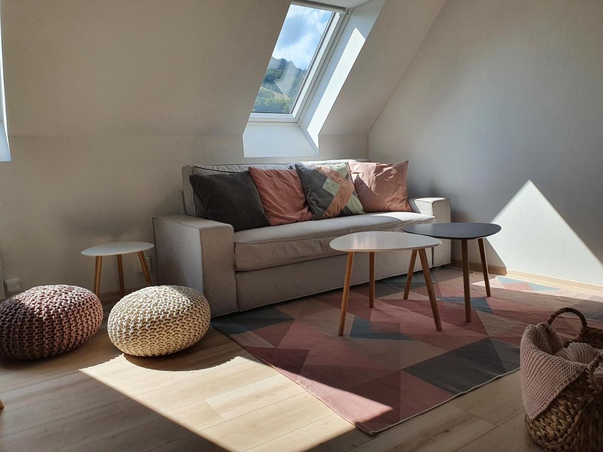 Apartmany Brachovna Mikulov v Krusnych Horach Bagian luar foto