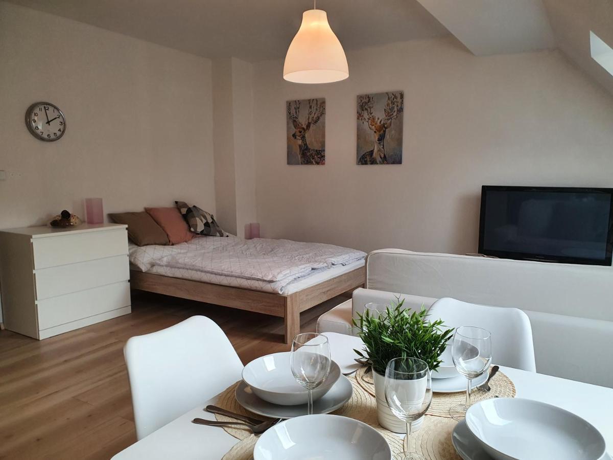 Apartmany Brachovna Mikulov v Krusnych Horach Bagian luar foto