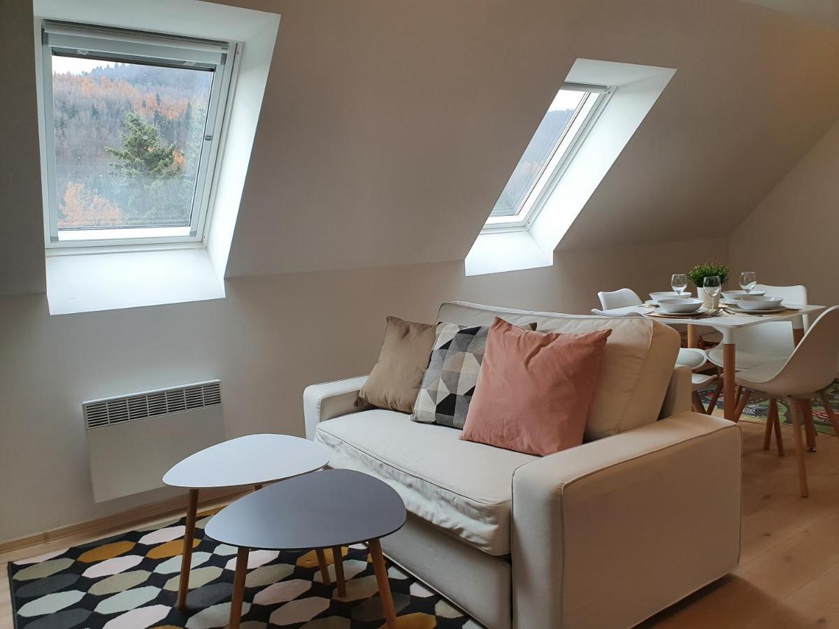 Apartmany Brachovna Mikulov v Krusnych Horach Bagian luar foto