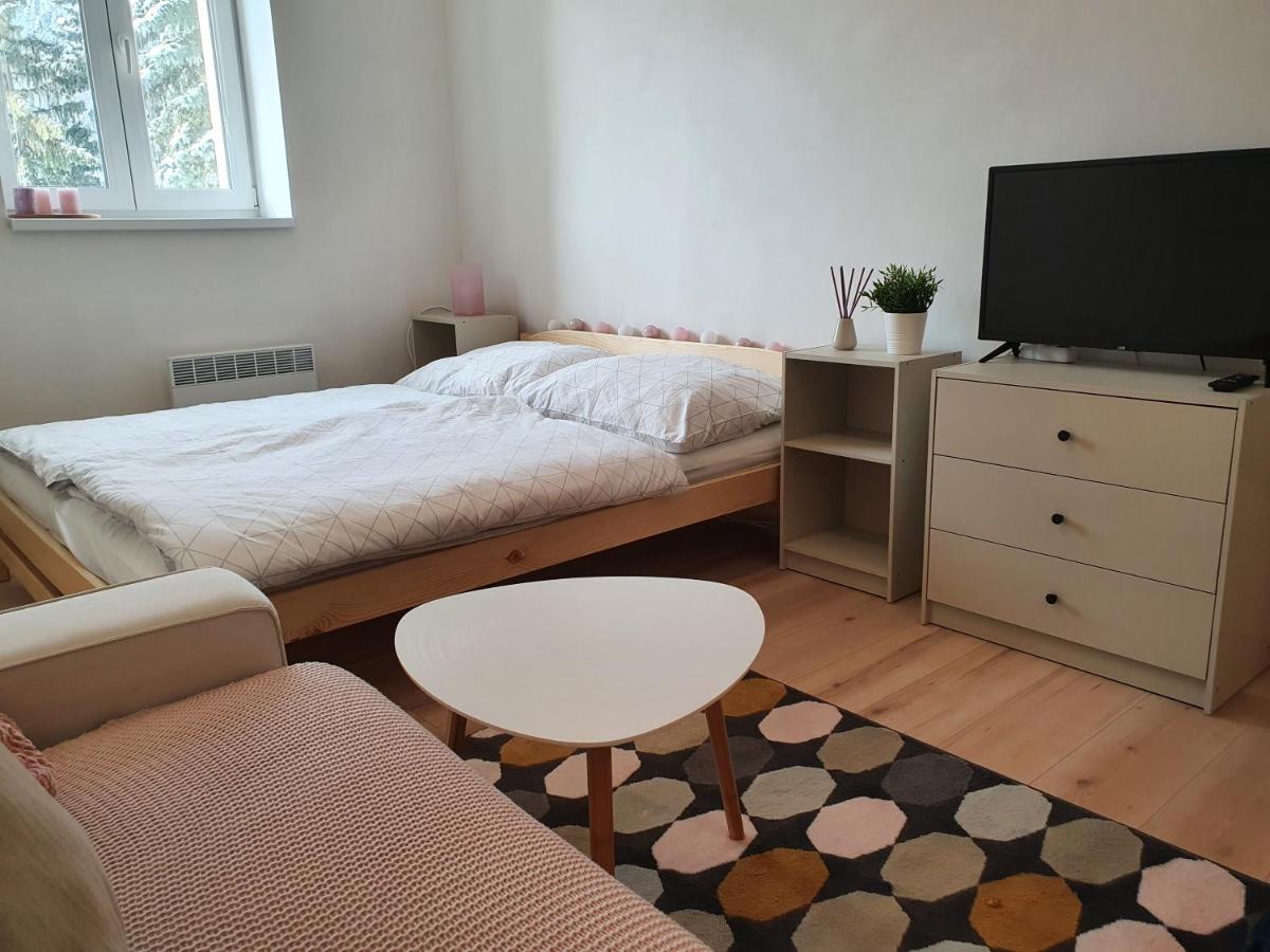 Apartmany Brachovna Mikulov v Krusnych Horach Bagian luar foto